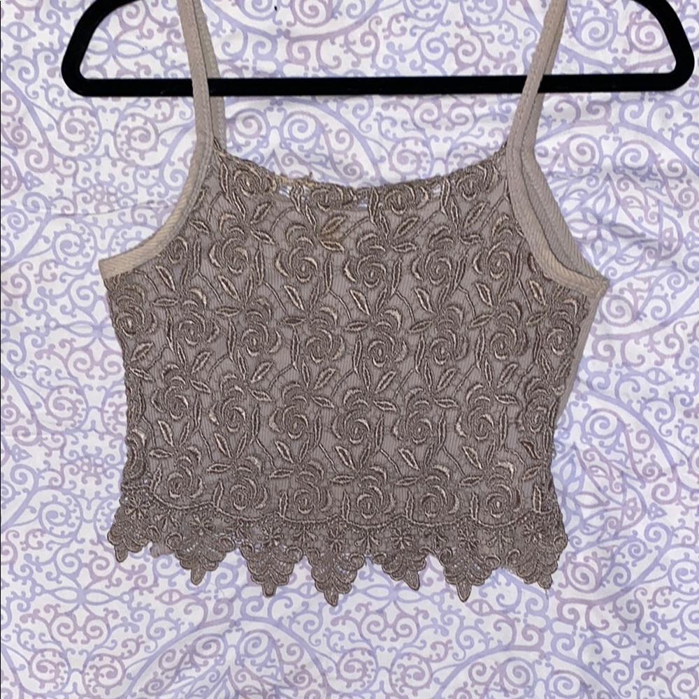 Elegant Lace Crop Top